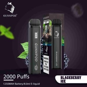 Blackberry Ice-2000 Puffs