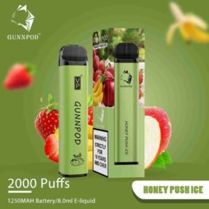 Honey Push Ice-2000 Puffs