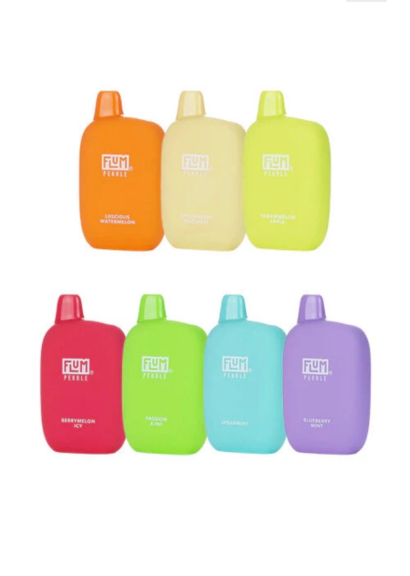Flum Pebble 6000 puffs Variety Pack (10 pcs)