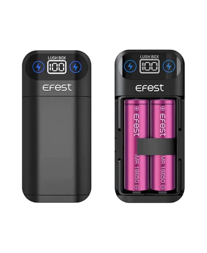 EFEST LUSH BOX BATTERY CHARGER - Image 3